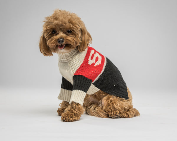 Maxbone-Dog Sweater-Small-Belle