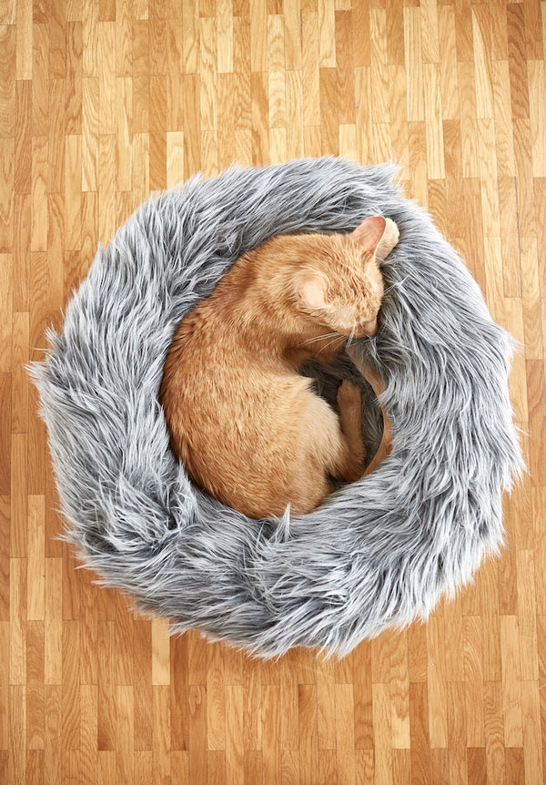 Capello Grey Cat Bed-Lifestyle