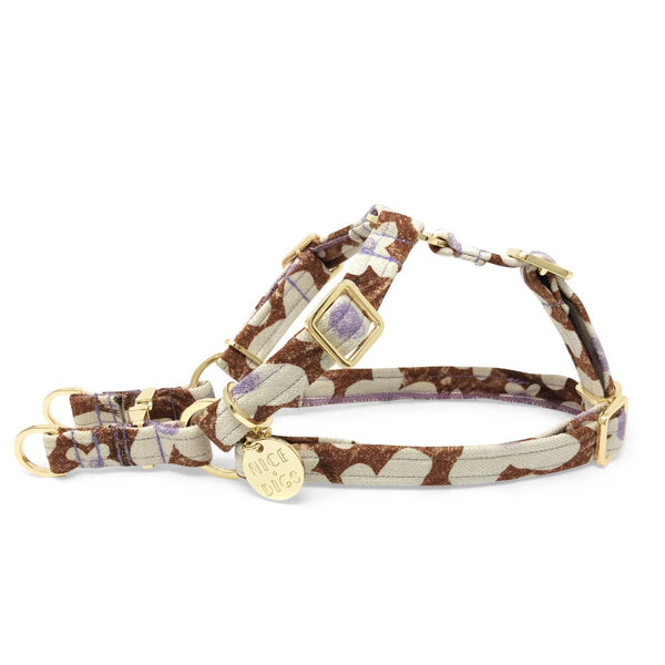 Beautiful dog harness 2025