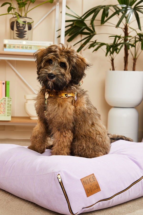 Nice Digs-Cord Slouch Dog Bed -Lilac-Havanese