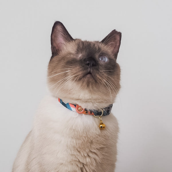 Gentle Pup-Cat Collar Razzle Dazzle-British Blue cat
