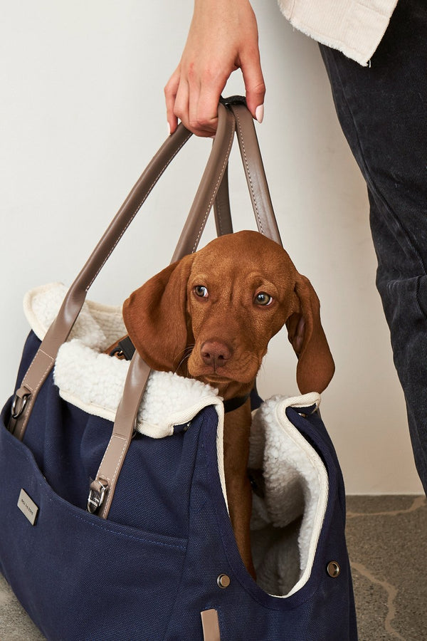 City Carrier Bag-Dog