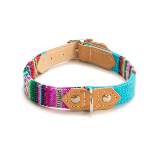 Rainbow dog hot sale collar