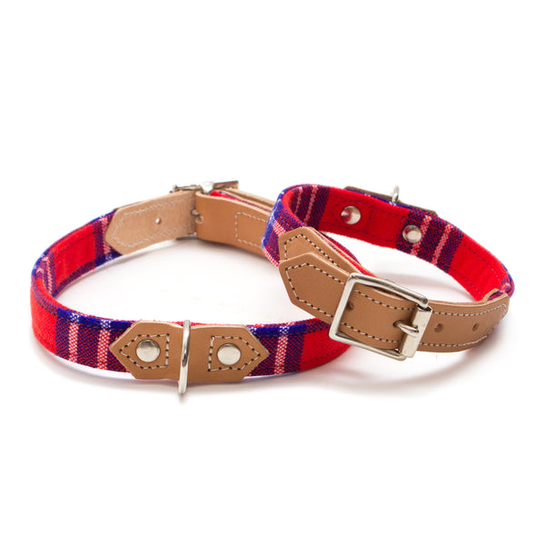 Wolf store dog collars