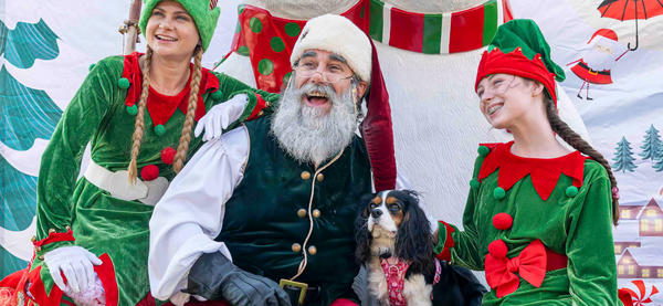 Barkfest: The friendliest Dog Friendly Event in town!