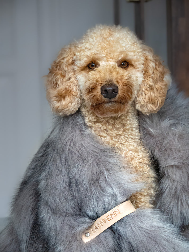 Föra Dog Blanket-Silver