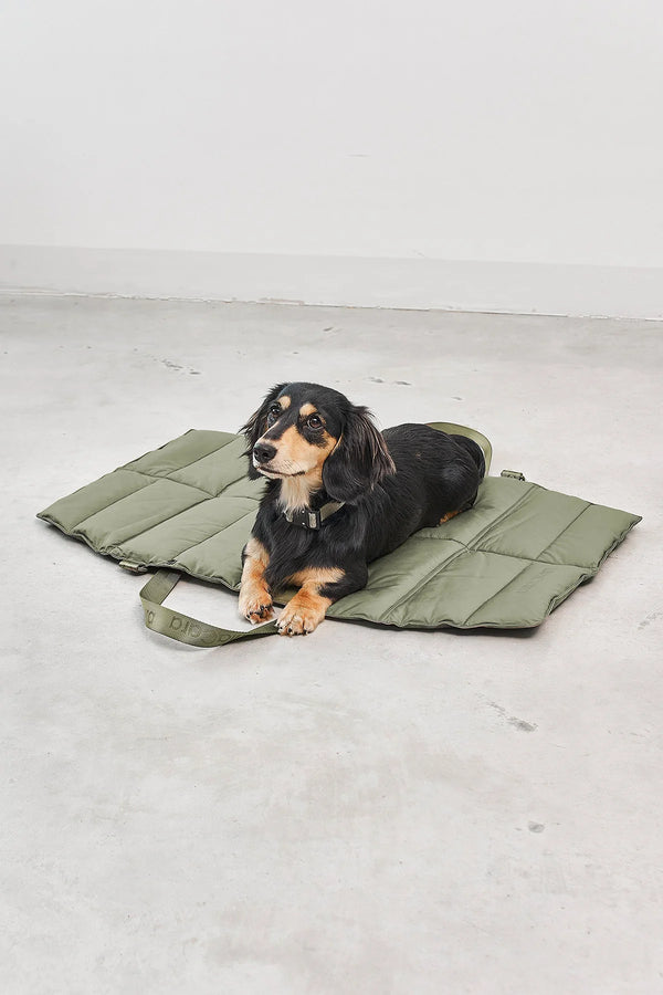 Mia Cara_Dog Travel Bed_Green _Dacshund laying down 