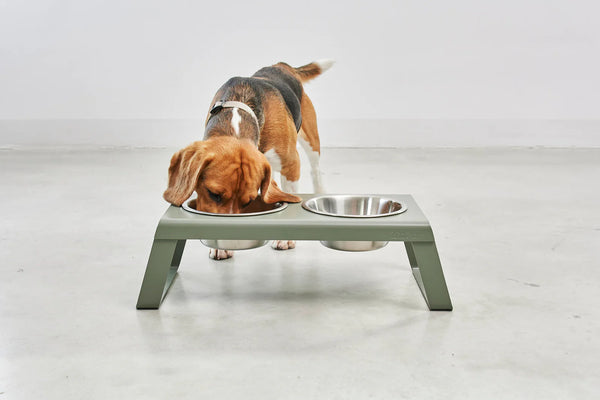 MiaCara_Dog Feeder_Olive