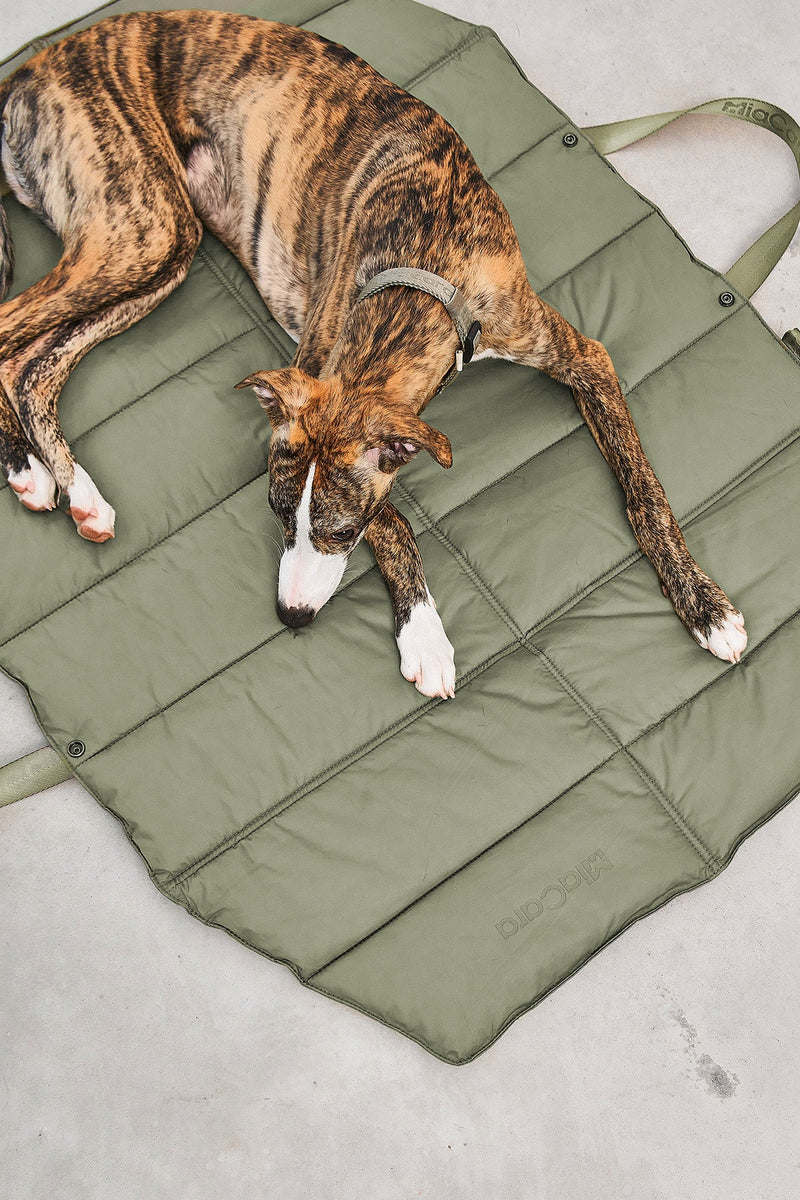 Mia Cara_Dog Travel Bed_Green _Whippet