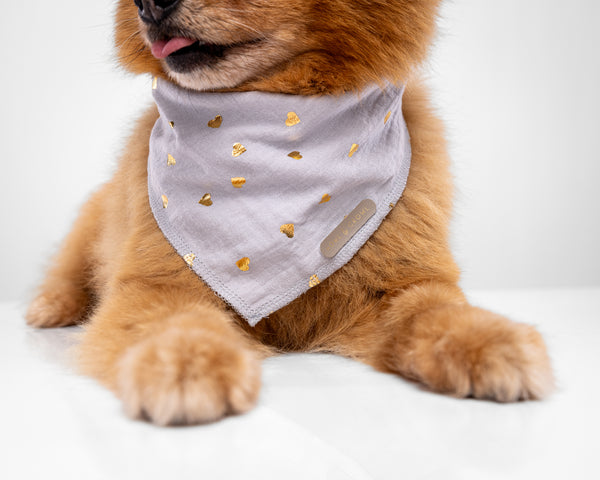 Heart of Gold Dog Bandana-Grey