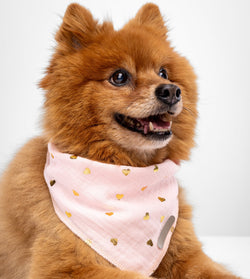 Heart of Gold Dog Bandana-Pink