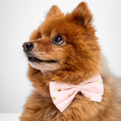 Howl & Growl_Dog Bow Tie_Heart of Gold_Pink