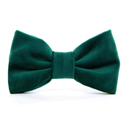 Foggy Dog_Green Velvet Dog Bow Tie