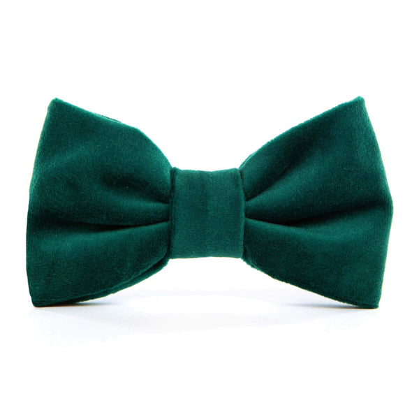 Foggy Dog_Green Velvet Dog Bow Tie