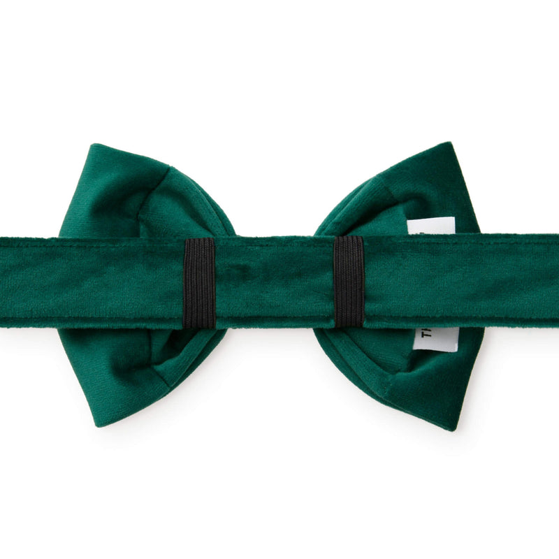 Foggy Dog_Green Velvet Dog Bow Tie_Elastic fastening