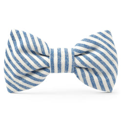 The Foggy Dog_Lake Blue Dog Bow Tie_