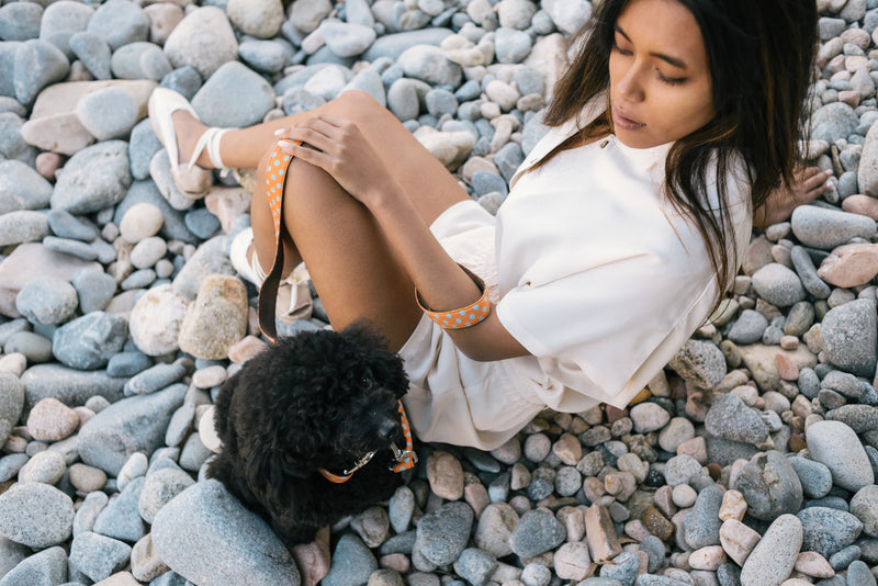 Brott Dog_Pola Dog Collar & Lead