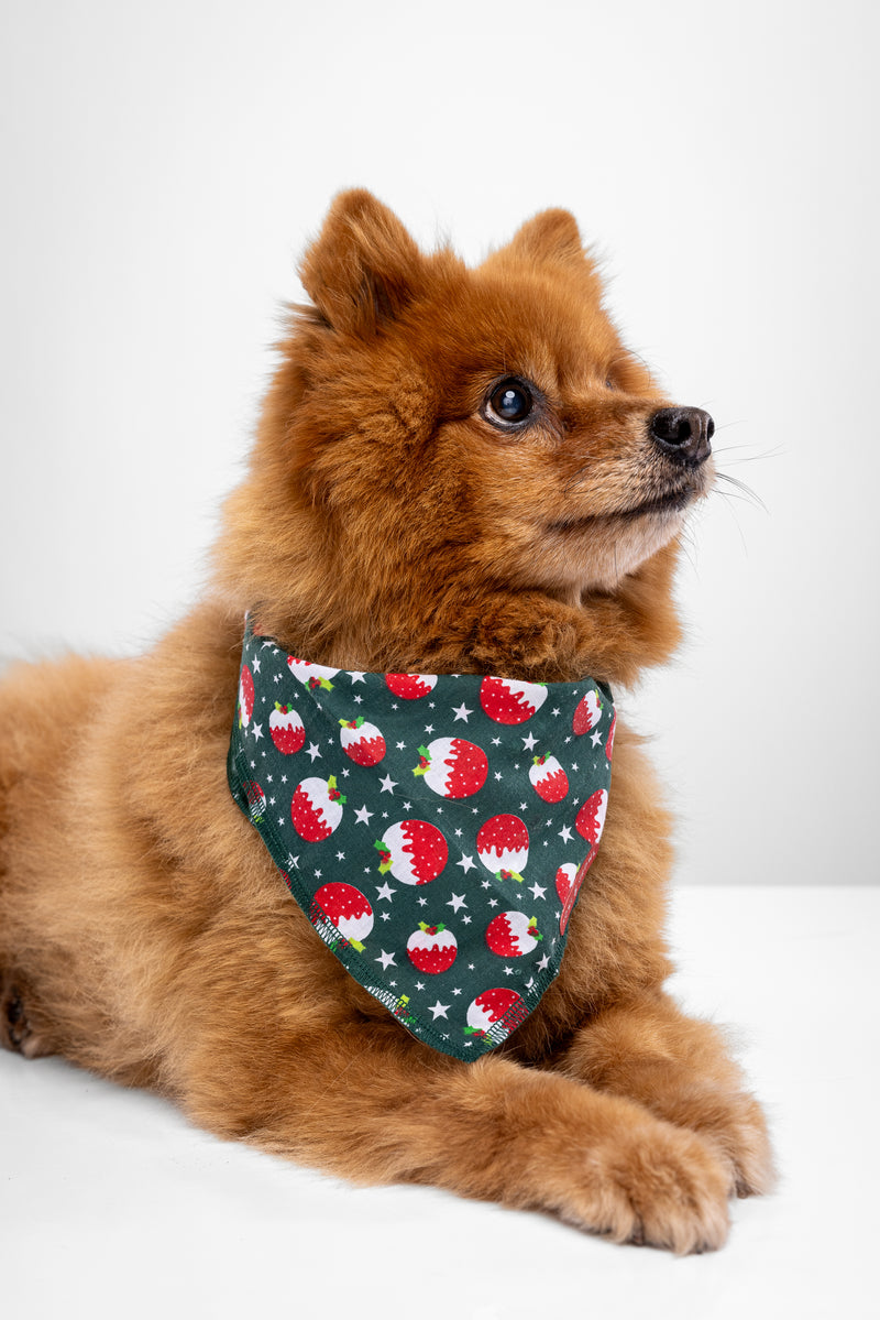 Howl & Growl_Dog Bandana_Christmas_pudding