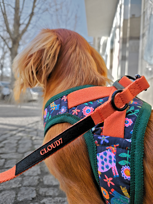 Cloud 7_Holly park_Dog Harness_Small dogs_DACHSHUND