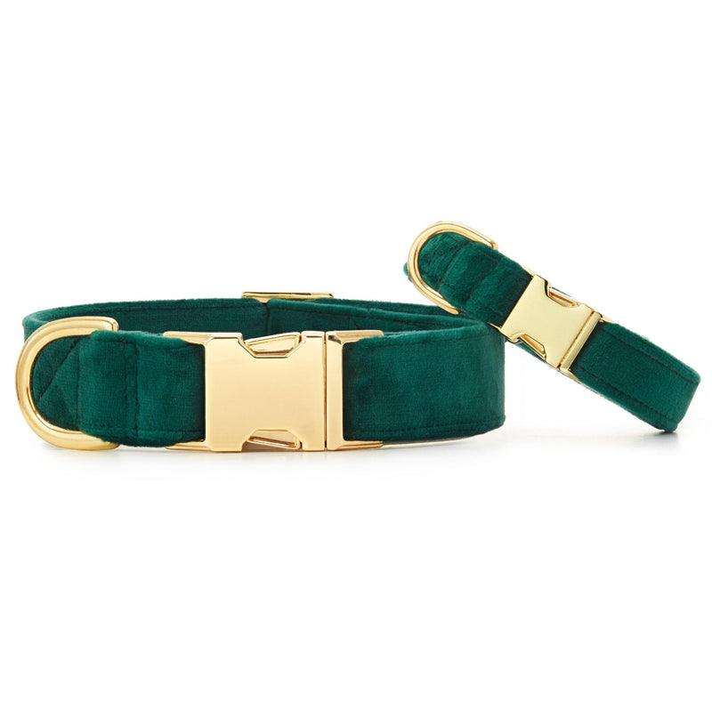 The Foggy Dog_Forest Green_Velvet Dog Collar