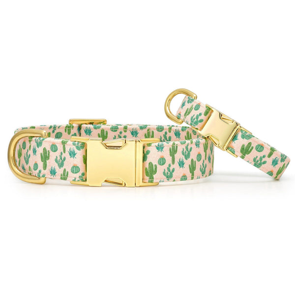 The Foggy Dog_Desert Cactus_Dog Collar