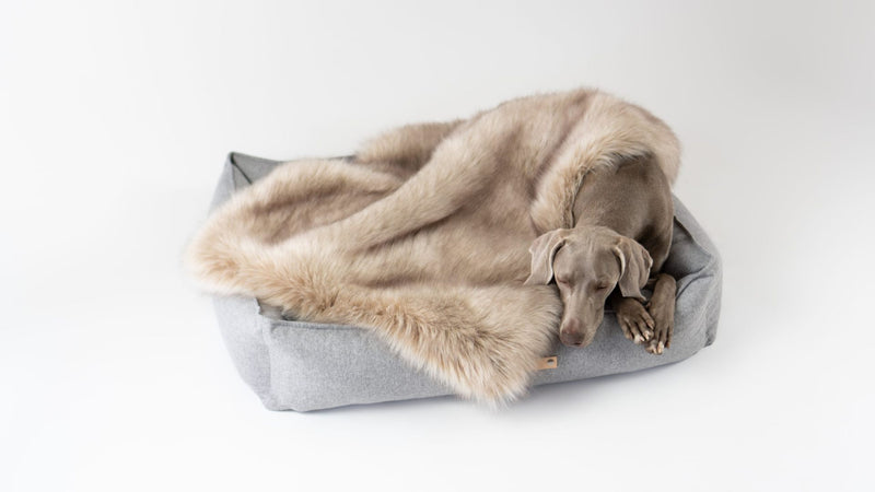 Föra Dog Blanket-Cappuccino