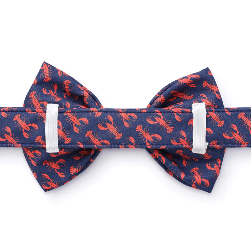 Foggy Dog_Catch of the Day_Dog Bow Tie_Back 