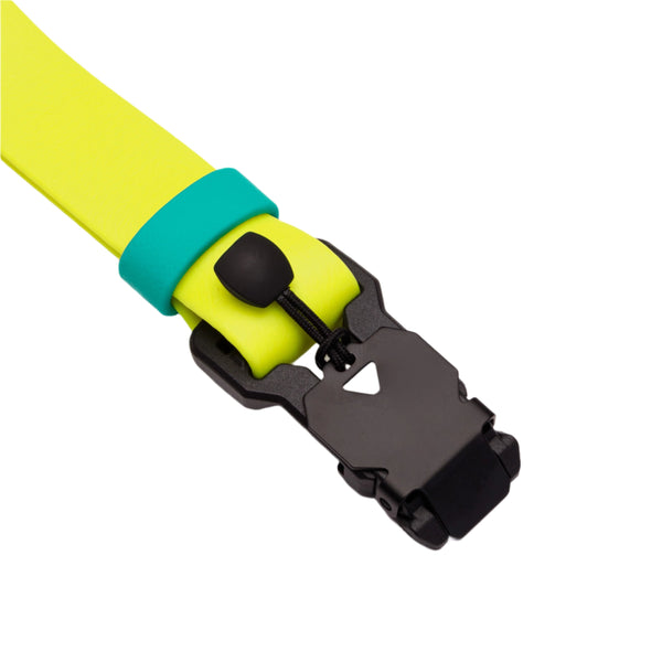 Biothane Dog Collar_Neon Yellow_Two Tone