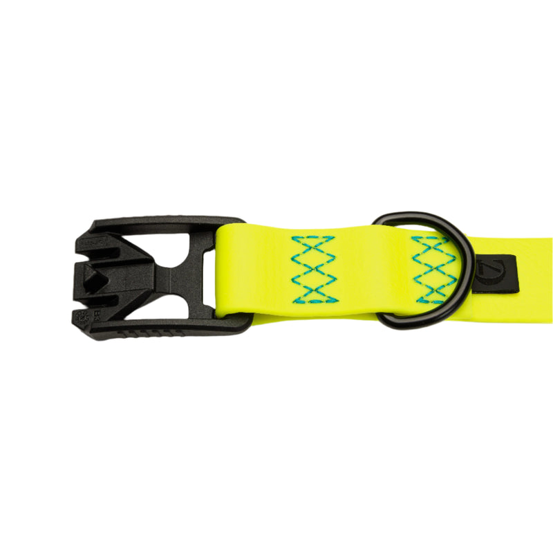 Biothane Dog Collar_Neon Yellow_Buckle