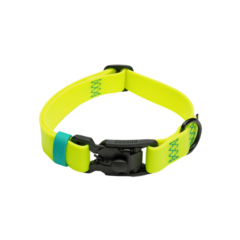 Biothane Dog Collar_Neon Yellow