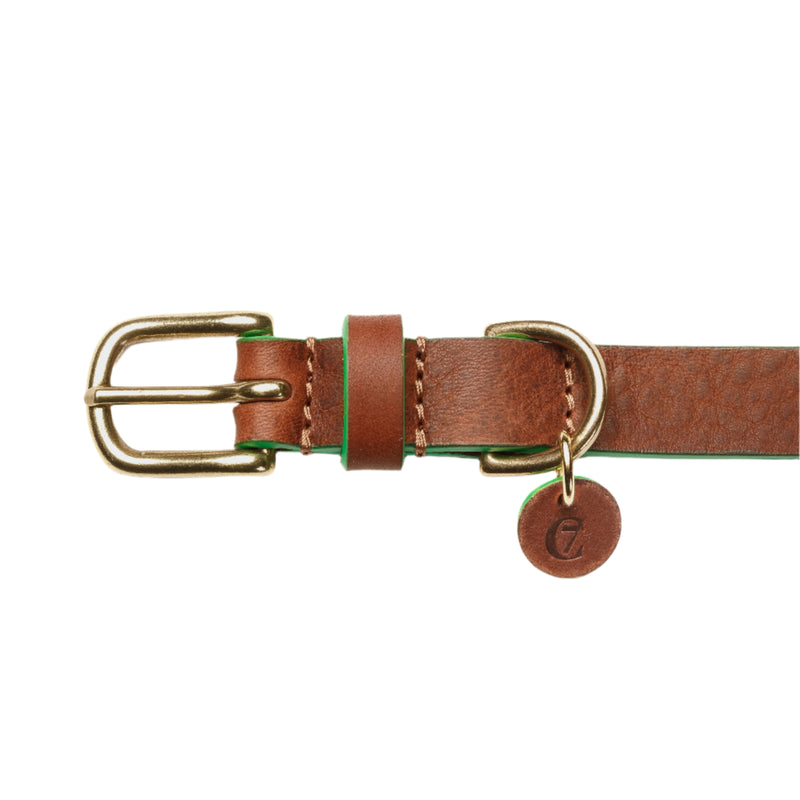 Cloud 7_Kings Park Dog Collar_Green_Buckle