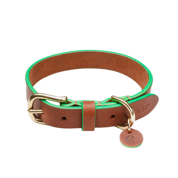 Cloud 7_Kings Park Dog Collar_Green