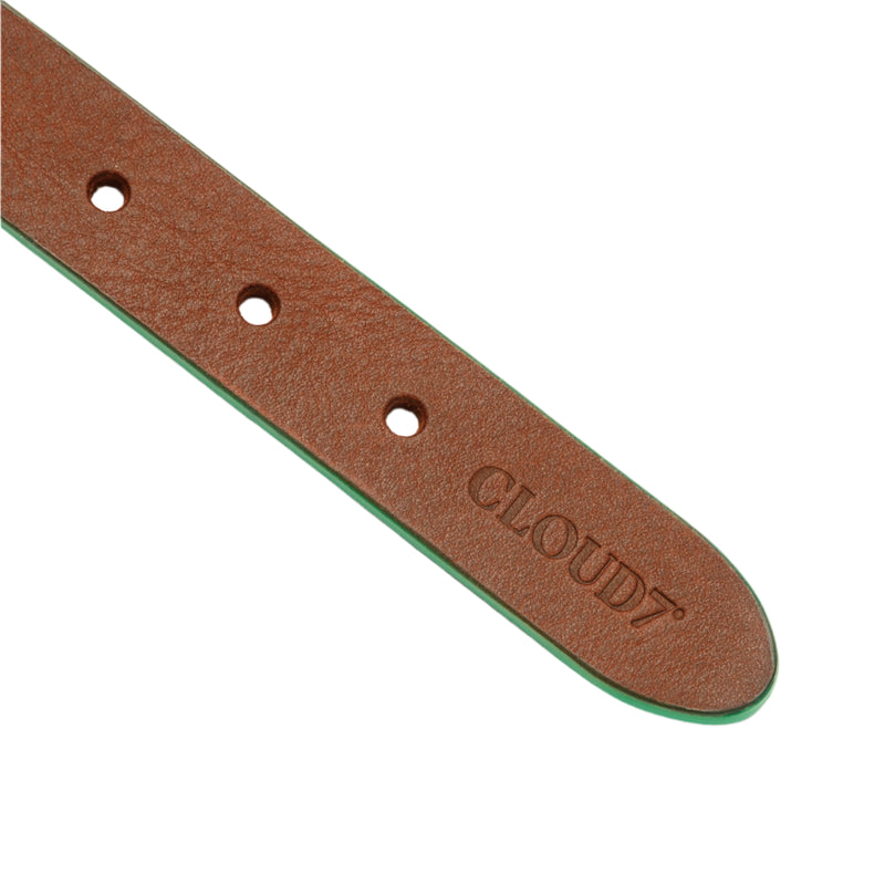 Cloud 7_Kings Park Dog Collar_Green_strap