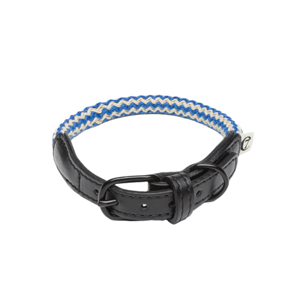 Cloud 7_Dog Collar_Mauerpark