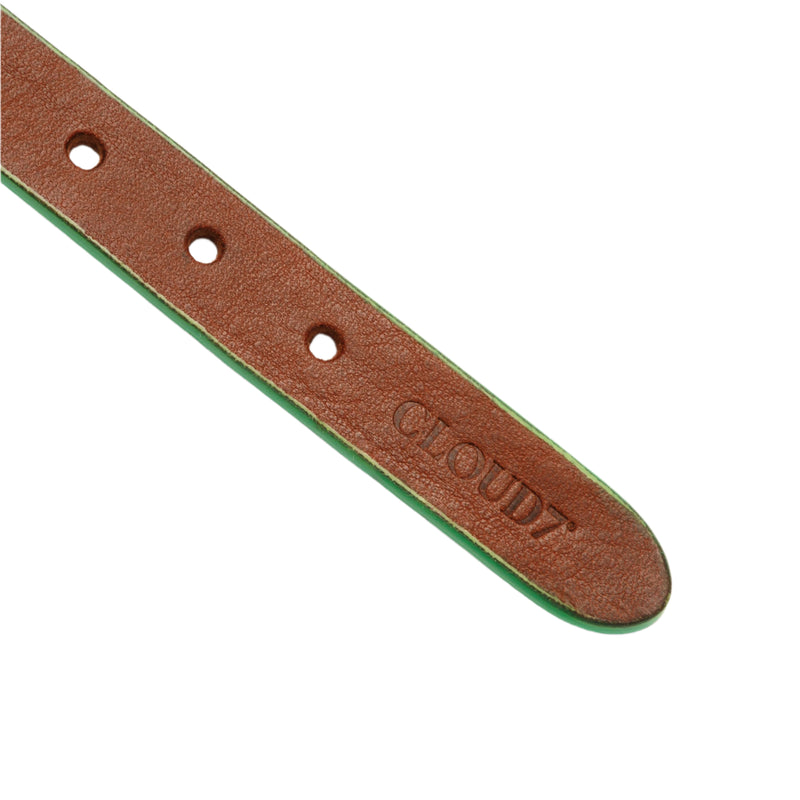 Cloud 7_Prince Park_Dog Collar_Cognac Green_strap