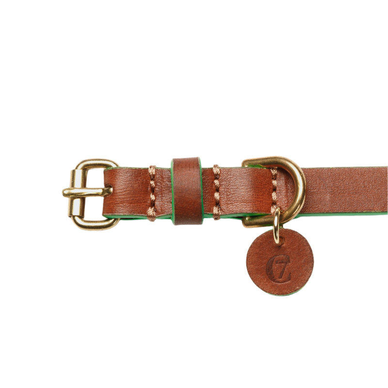 Cloud 7_Prince Park_Dog Collar_Cognac Green_Buckle