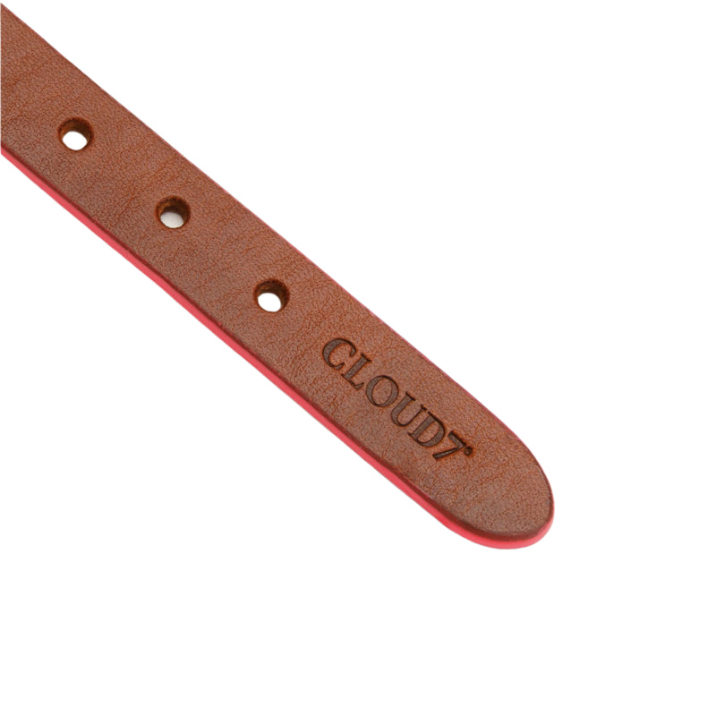 Cloud 7_Prince Park Dog Collar_Cognac Pink_Strap