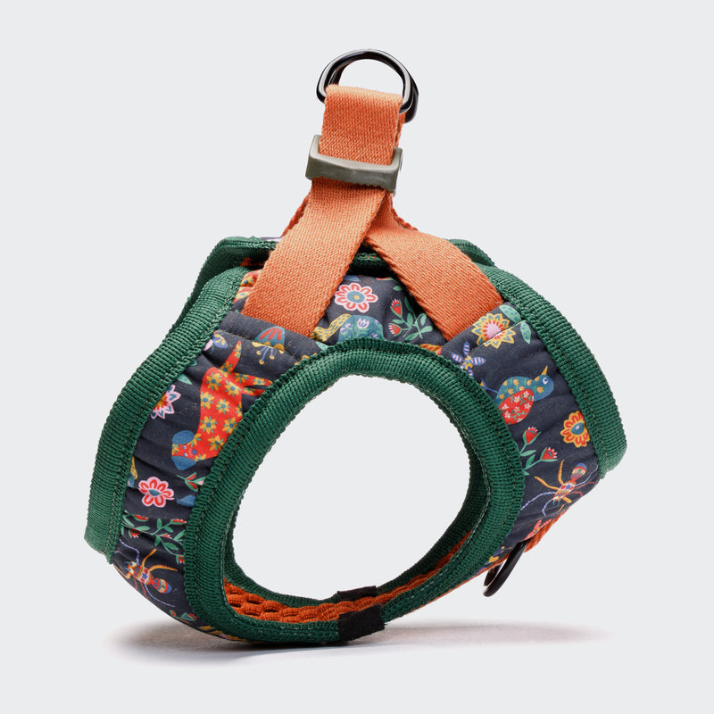 Cloud 7_Holly park_Dog Harness_Small dogs