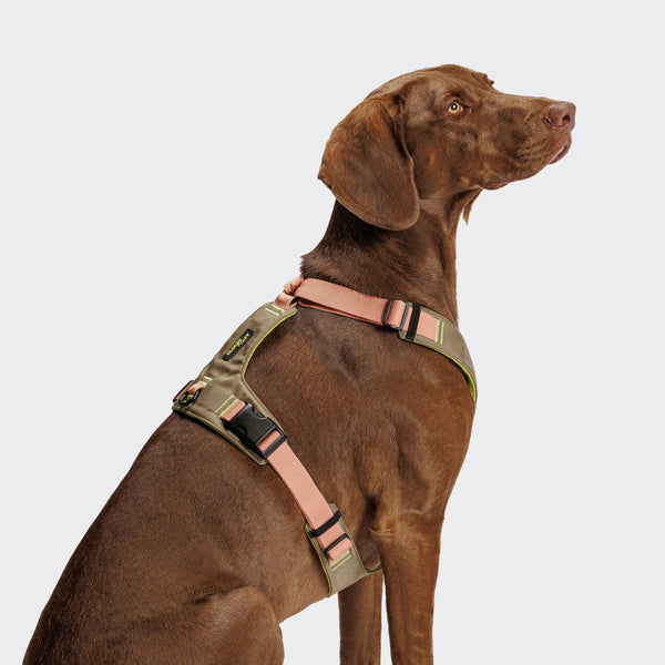 Y2 Aktiv Cordura Dog Harness-Peach