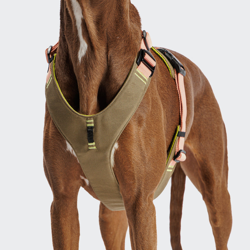 Y2 Aktiv Cordura Dog Harness-Peach