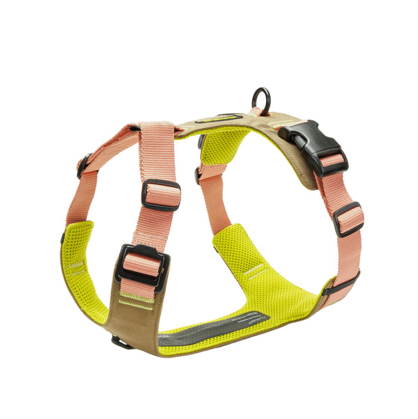 Dog harness with pink and green straps on a white background