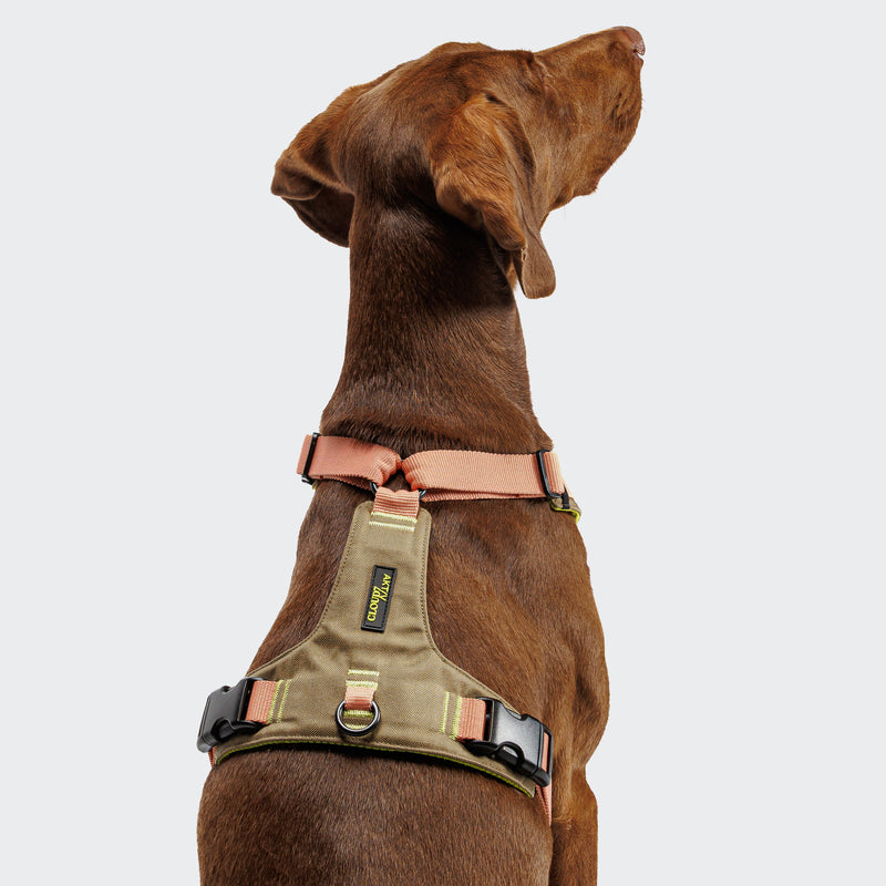 Y2 Aktiv Cordura Dog Harness-Peach