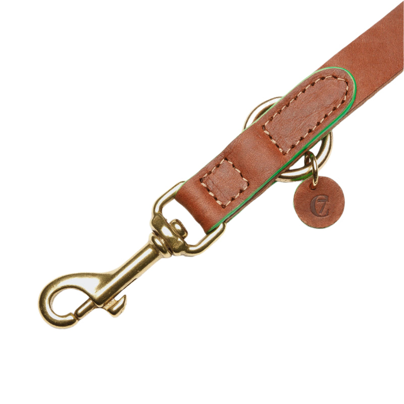 Cloud 7_Dog Collar_Prince Park_Cognac Green_Buckle