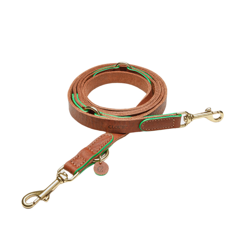 Cloud 7_Dog Collar_Kings Park_Cognac Green