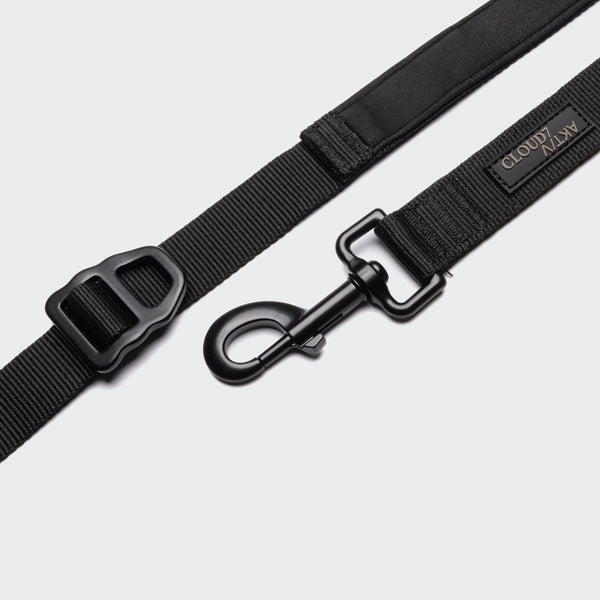 Black dog leash with clasp on a light gray background