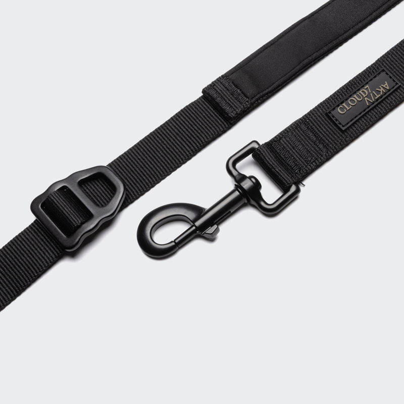 Black dog leash with clasp on a light gray background