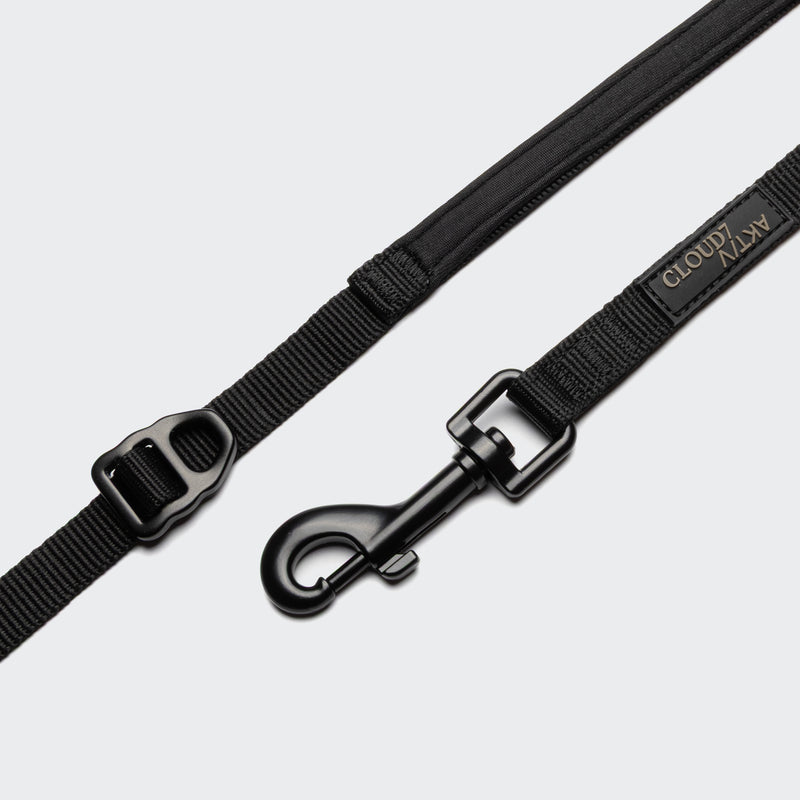 Black dog leash with clasp on a light gray background