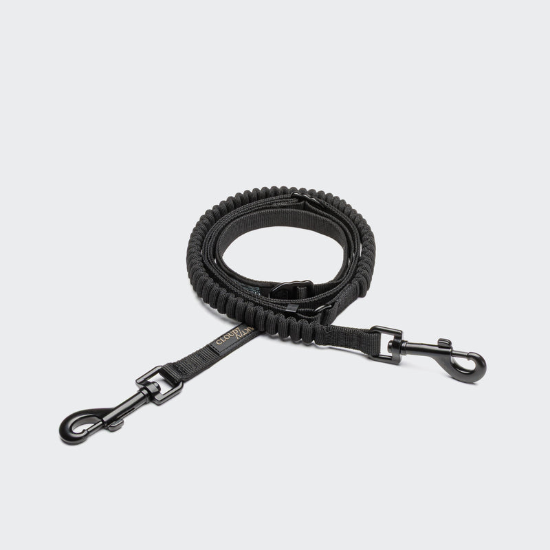 Black dog leash with handle on a light gray background