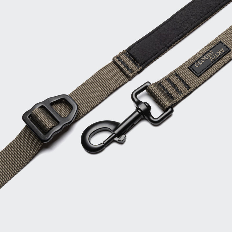 Brown dog leash with black clip and metal clasp on a light gray background