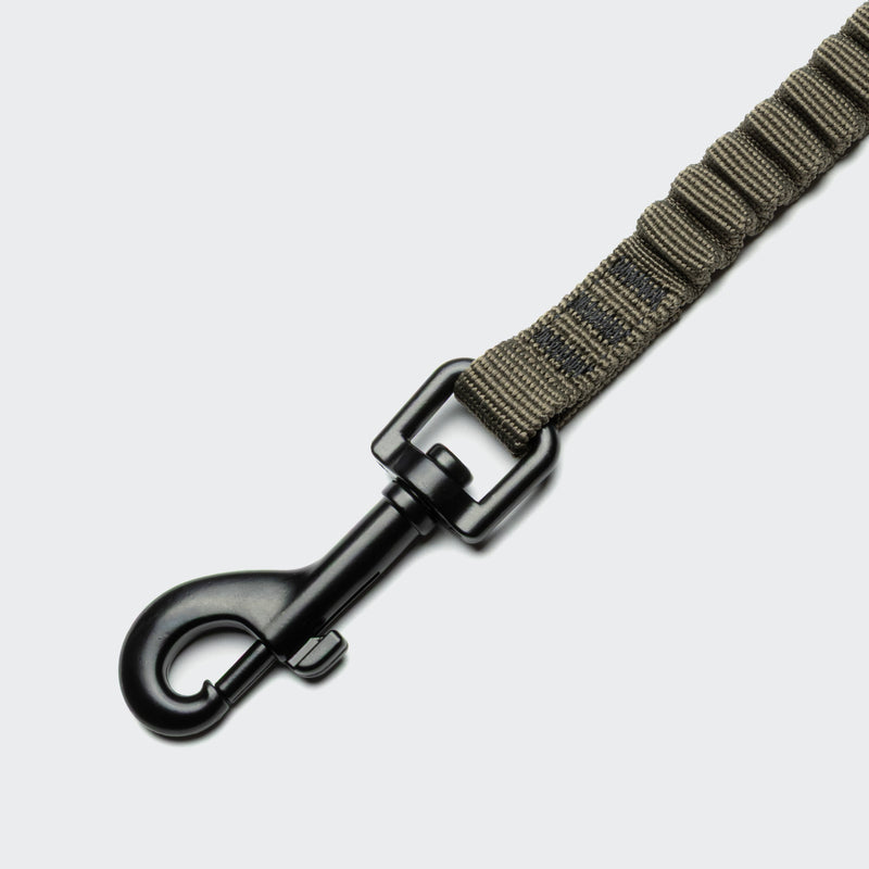 Dog leash with black clip on a light gray background